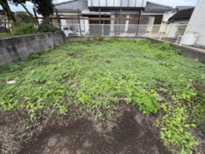 宮崎市田野町乙、土地の画像です