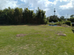 宮崎市佐土原町下那珂、土地の画像です