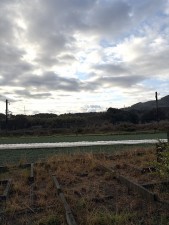 宮崎市清武町今泉、土地の画像です