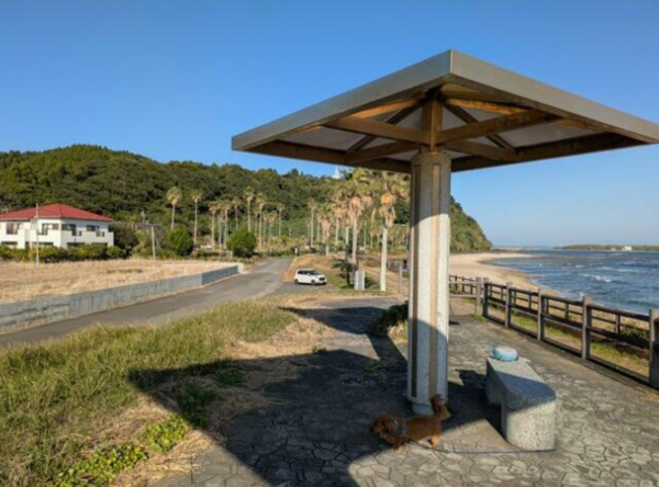 宮崎市、土地の画像です