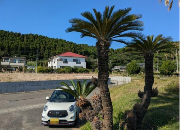 宮崎市、土地の画像です