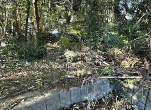 宮崎市阿波岐原町、土地の画像です