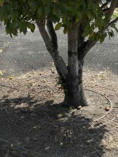 宮崎市小戸町、土地の画像です