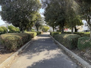 宮崎市小戸町、土地の画像です