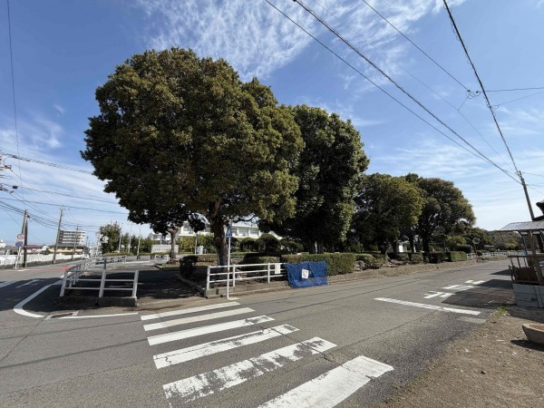 宮崎市小戸町、土地の画像です