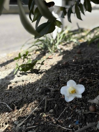 宮崎市小戸町、土地の画像です