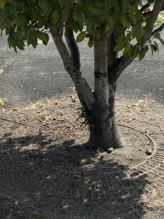 宮崎市小戸町、土地の画像です