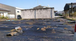 宮崎市、土地の画像です