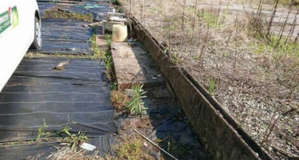 宮崎市、土地の画像です