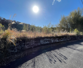 宮崎市清武町船引、土地の画像です