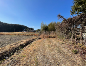 宮崎市清武町船引、土地の画像です