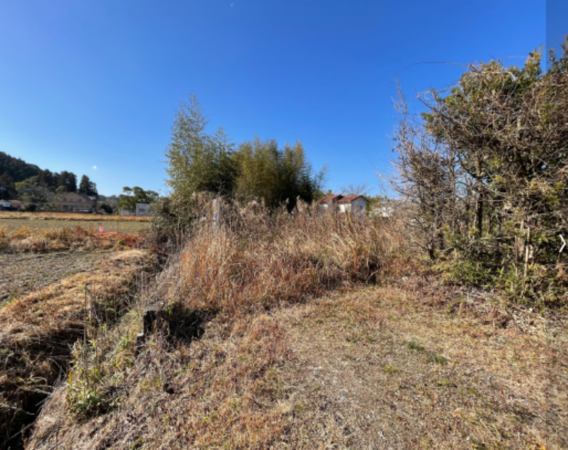 宮崎市清武町船引、土地の画像です