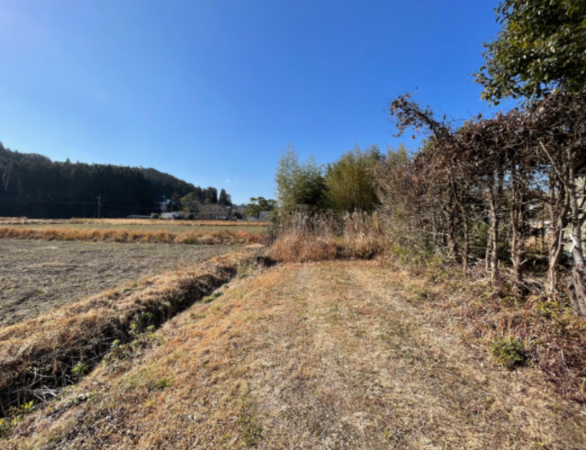 宮崎市清武町船引、土地の画像です