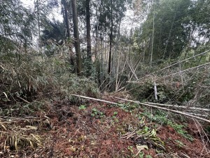 宮崎市清武町船引、土地の画像です