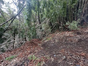 宮崎市清武町船引、土地の画像です