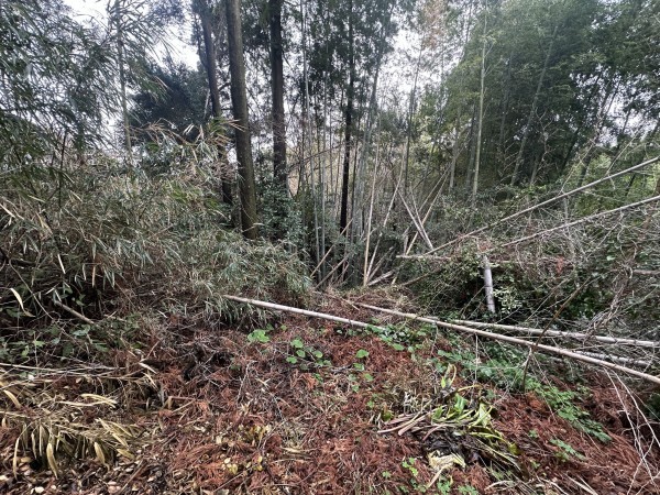 宮崎市清武町船引、土地の画像です