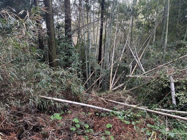 宮崎市清武町船引、土地の画像です