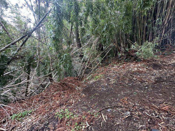 宮崎市清武町船引、土地の画像です