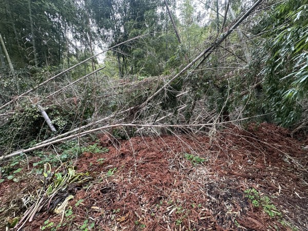 宮崎市清武町船引、土地の画像です