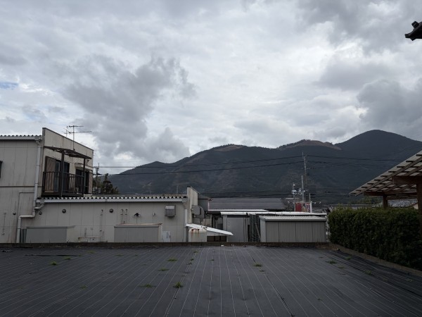 宮崎市田野町甲、土地の画像です