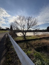 宮崎市田野町乙、土地の画像です