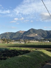 宮崎市田野町乙、土地の画像です