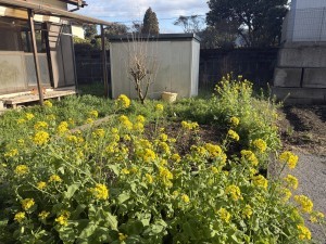 宮崎市田野町乙、土地の画像です