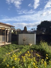 宮崎市田野町乙、土地の画像です