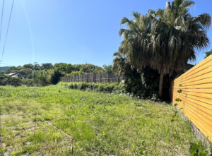 宮崎市青島、土地の画像です