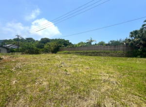 宮崎市青島、土地の画像です