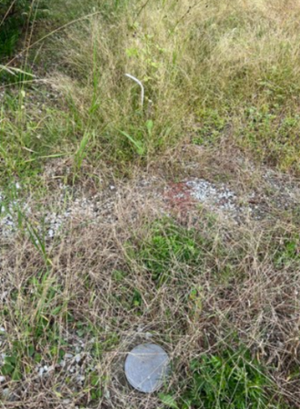 宮崎市神宮西、土地の画像です