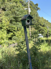 宮崎市田野町乙、土地の画像です