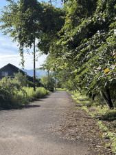 宮崎市田野町乙、土地の画像です