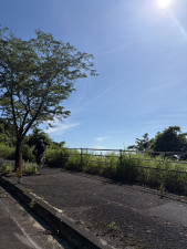 宮崎市田野町乙、土地の画像です