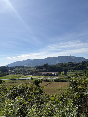 宮崎市田野町乙、土地の画像です