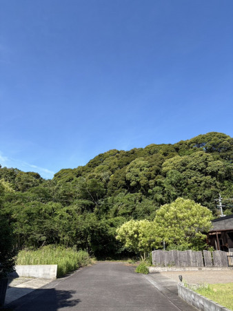 宮崎市田野町乙、土地の画像です