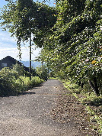 宮崎市田野町乙、土地の画像です