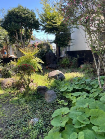 宮崎市神宮、土地の画像です