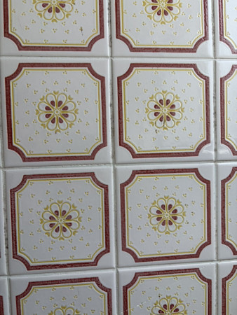 宮崎市城ケ崎、中古一戸建ての画像です