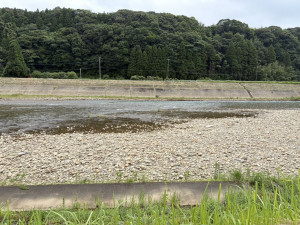 宮崎市清武町船引、土地の画像です