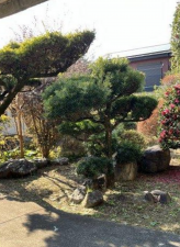 宮崎市神宮、中古一戸建ての画像です