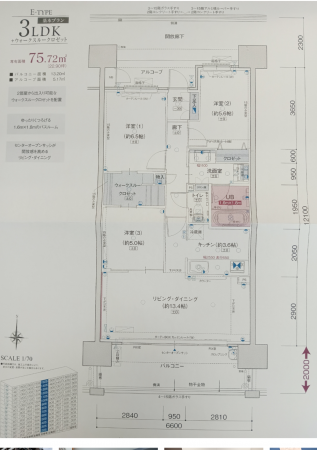 宮崎市松山、マンションの間取り画像です