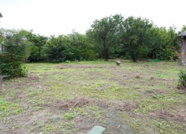 宮崎市熊野、土地の画像です