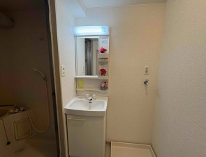 宮崎市城ケ崎、マンションの画像です