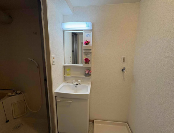 宮崎市城ケ崎、マンションの画像です