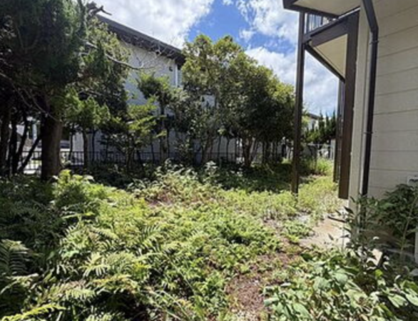 宮崎市江南、土地の画像です