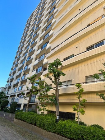 大阪市鶴見区今津南、マンションの外観画像です