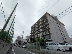 大阪市鶴見区今津北、マンションの画像です