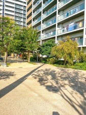 大阪市鶴見区鶴見、マンションの画像です