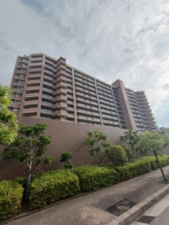 大阪市鶴見区今津南、マンションの画像です